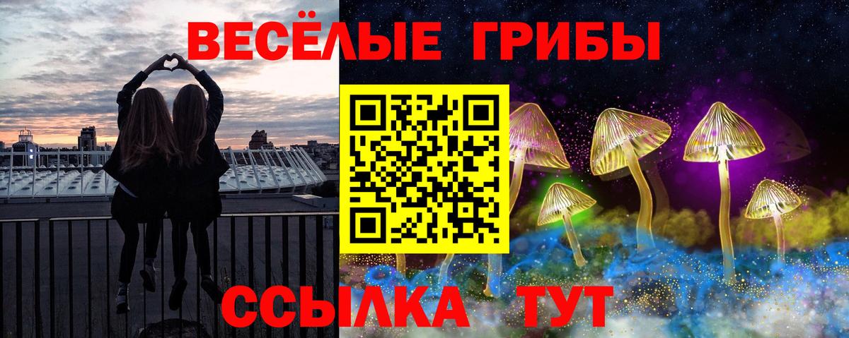Галлюциногенные грибы Psilocybine cubensis  Псилоцибиновые грибы Magic Shrooms  Славгород  Вход с VPN 